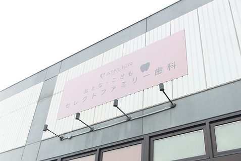n5.jpg